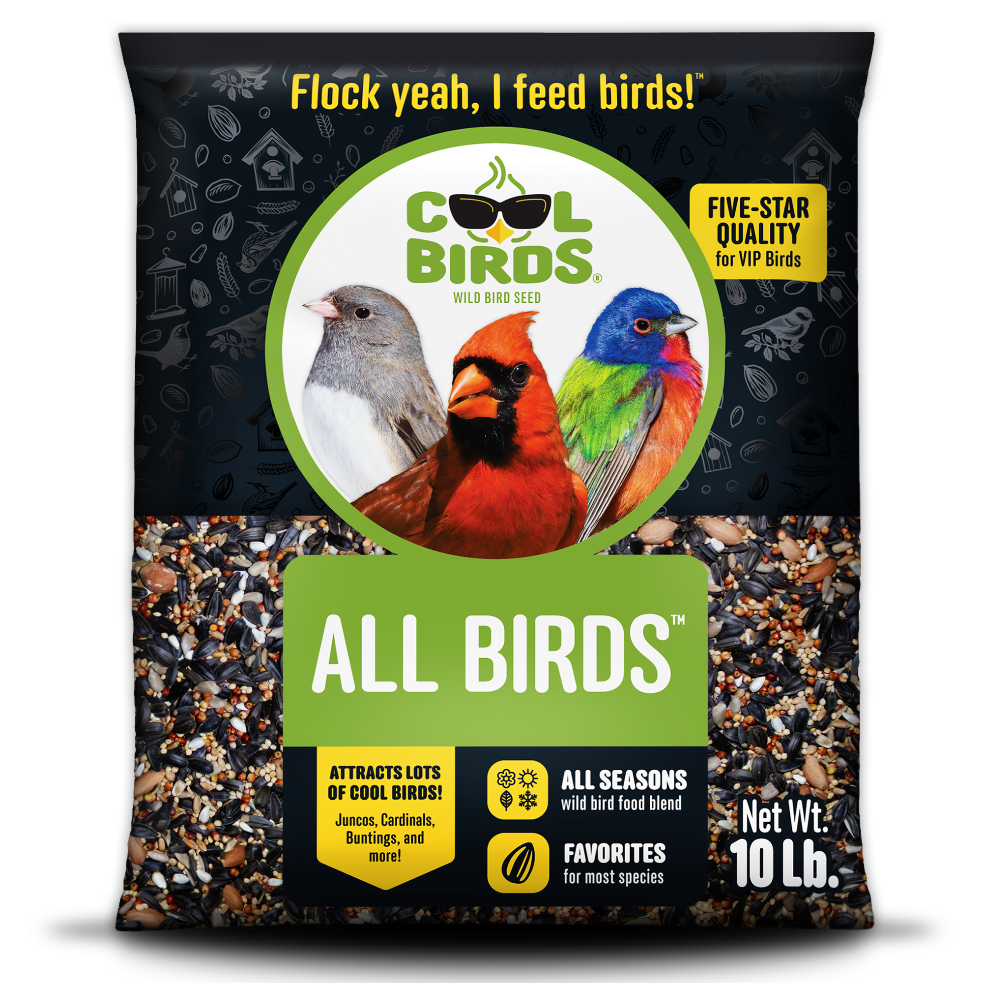 All Birds
